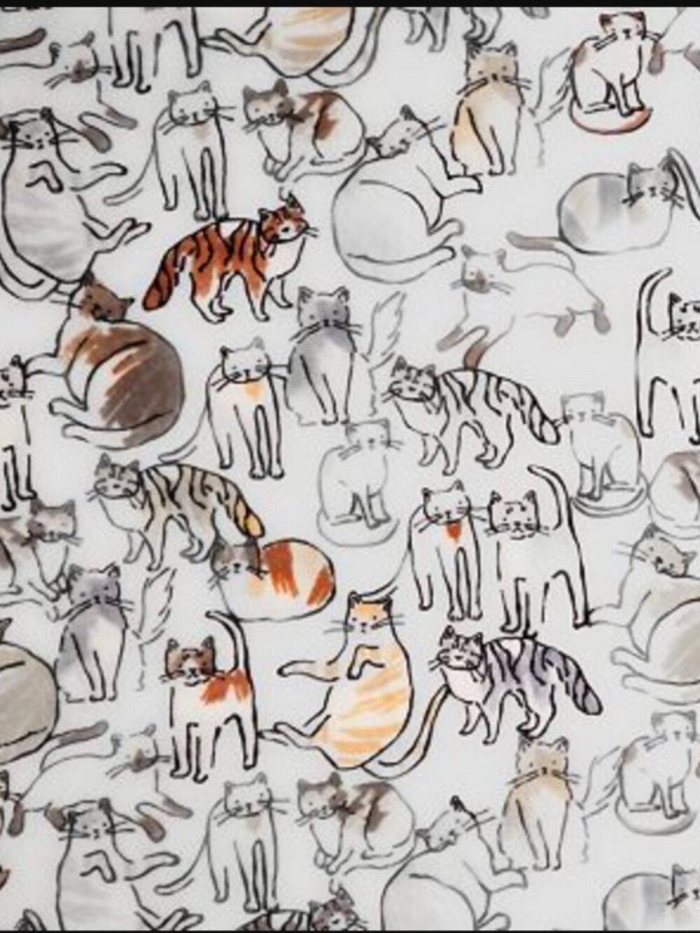 Cats Printed Oversized Plush Throw Blanket 5x6 ft - The Big One - Picture 2 of 4